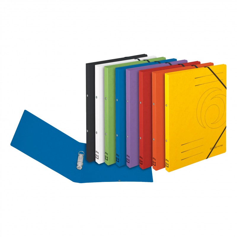 Herlitz Ringbuch / Ringhefter · colorspan · A4 · schmal · schwarz