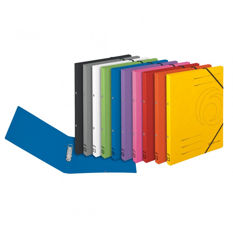 Herlitz Ringbuch / Ringhefter · colorspan · A4 · schmal · violett / lila