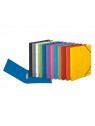 Herlitz Ringbuch / Ringhefter · colorspan · A4 · schmal · hellblau