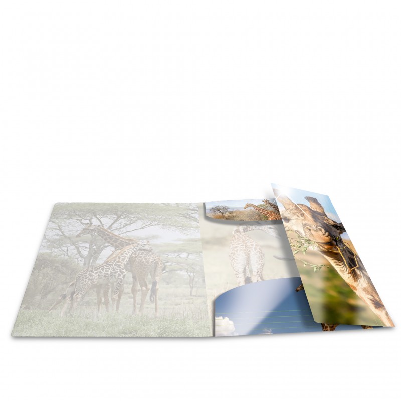 HERMA Sammelmappe · A3 · PP · Glossy Tiere · Giraffe