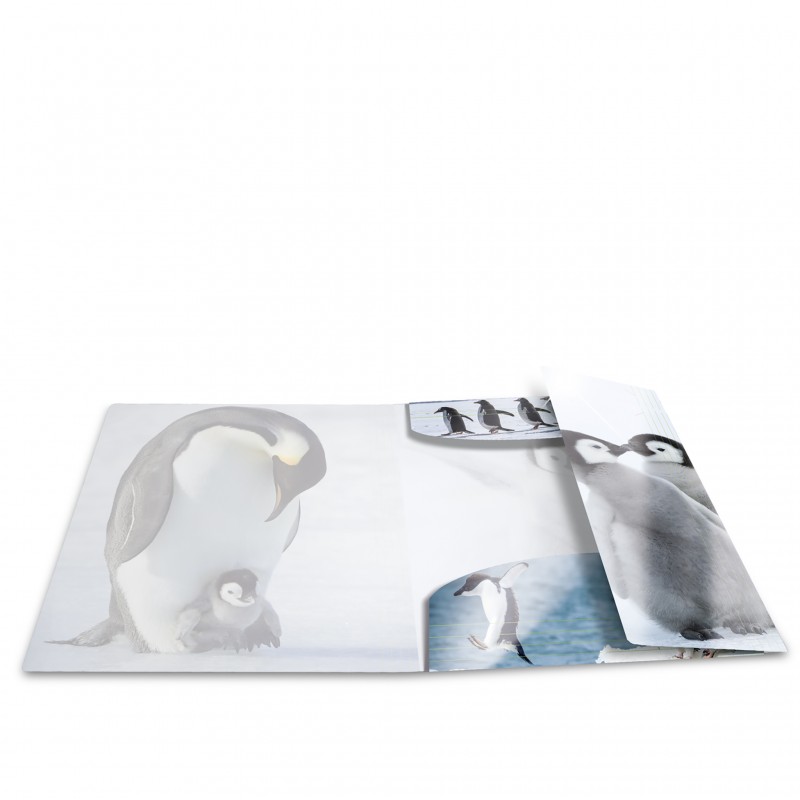 HERMA Sammelmappe · A3 · PP · Glossy Tiere · Pinguine