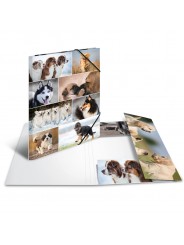 HERMA Sammelmappe · A3 · Karton · Hunde