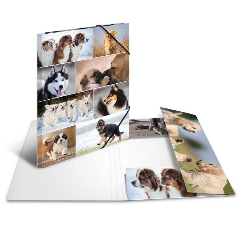 HERMA Sammelmappe · A3 · Karton · Hunde