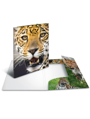 HERMA Sammelmappe · A3 · PP · Tiere · Leopard