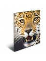 HERMA Sammelmappe · A3 · PP · Tiere · Leopard