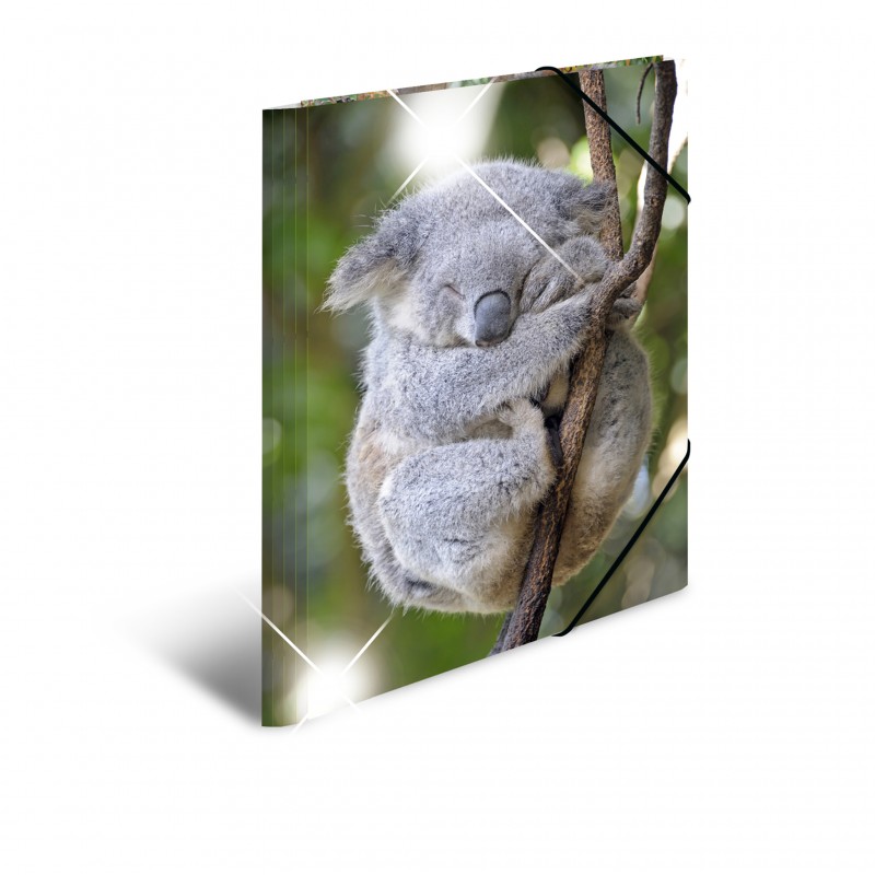 HERMA Sammelmappe · A3 · PP · Glossy Tiere · Koala