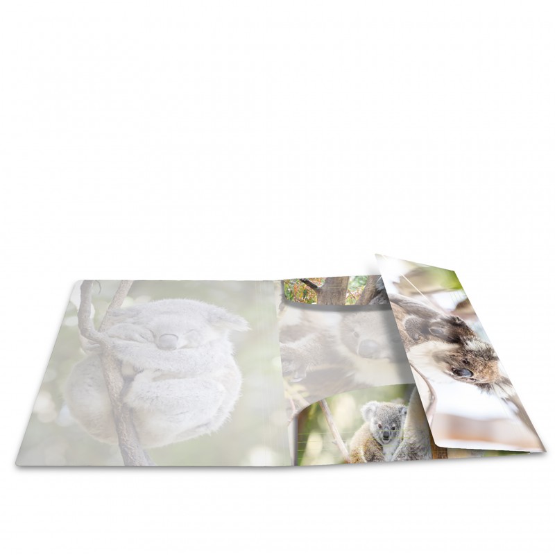 HERMA Sammelmappe · A3 · PP · Glossy Tiere · Koala